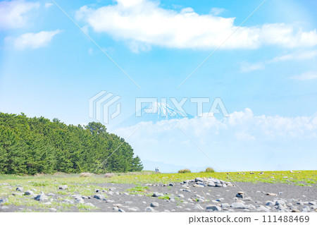 Miho no Matsubara和Mt. Fuji 111488469