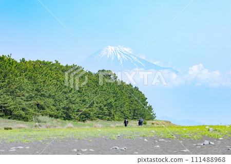 Miho no Matsubara和Mt. Fuji 111488968
