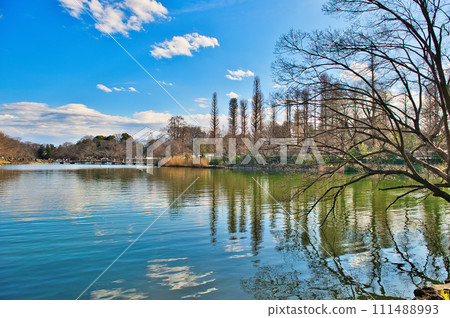 Tokyo winter Inokashira Park pond scenery Tokyo winter Inokashira Park pond scenery 111488993