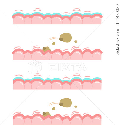 Intestinal movements and intestinal barrier image Intestinal movements and intestinal barrier image 111489389