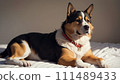 Illustration of a sitting dog 111489433