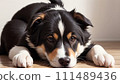Illustration of a cute dog lying down 111489436
