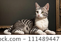 Illustration of a cute cat lying down 111489447