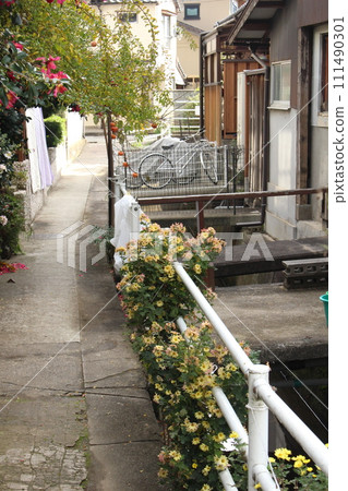 胡同和鮮花 111490301