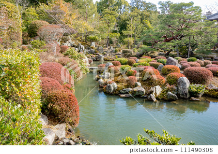 京都市北區東寺院庭園芙蓉池 111490308