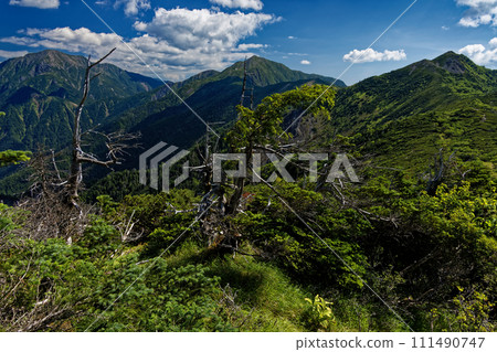 The mountain range of Mt. Chausu, Mt. Kamikawachidake, and Mt. Hijiri seen from Kibomine in the Southern Alps 111490747