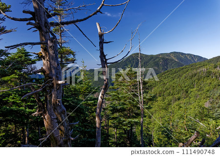 從南阿爾卑斯山仁田山附近的橫向道路看到的光山 從南阿爾卑斯山仁田山附近的橫向道路看到的光山 111490748