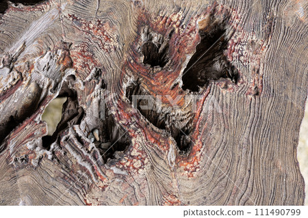 old wood texture old wood texture 111490799