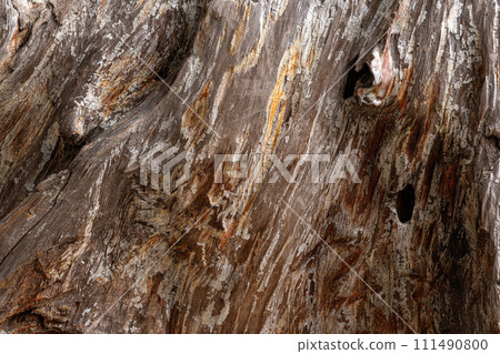 old wood texture 111490800
