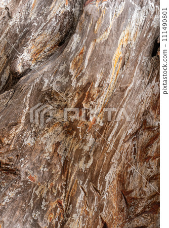 old wood texture 111490801