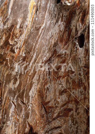 old wood texture 111490803