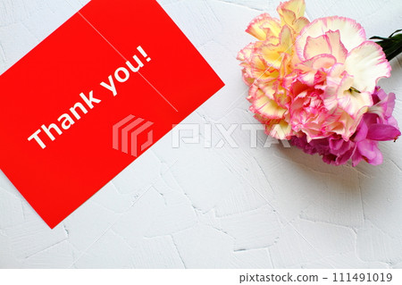 Mother's Day carnation material 111491019