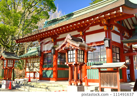 Shizuoka Asama Shrine 111491637