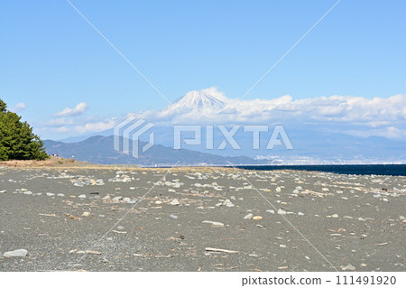 Matsubara, Shizuoka and Miho 111491920