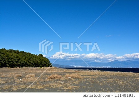 Matsubara, Shizuoka and Miho 111491933