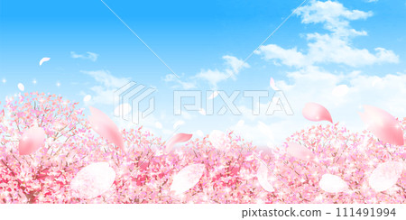 櫻花風景春天背景 111491994
