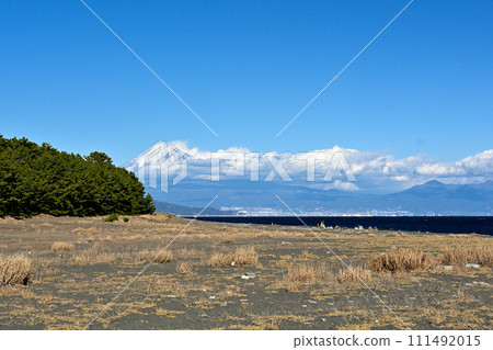 松原,靜岡和美穗 松原,靜岡和美穗 111492015
