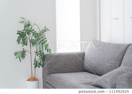 客廳/房間/帶沙發的室內圖像 111492024