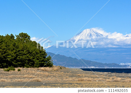 Matsubara, Shizuoka and Miho Matsubara, Shizuoka and Miho 111492035
