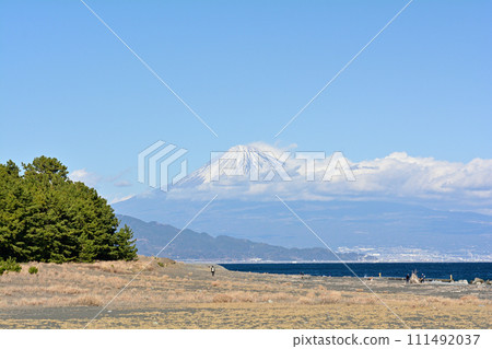 松原,靜岡和美穗 松原,靜岡和美穗 111492037