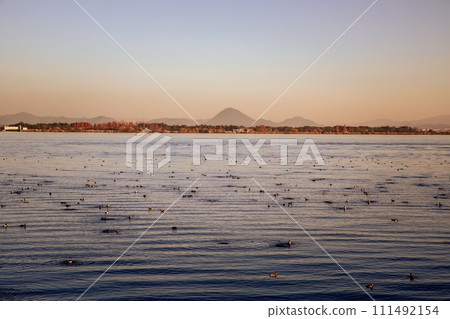 從大津市萬月寺浮禦堂眺望琵琶湖的夜景 從大津市萬月寺浮禦堂眺望琵琶湖的夜景 111492154