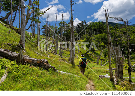 登山者在南阿爾卑斯山色呂岳附近的橫貫路線上行走 111493002