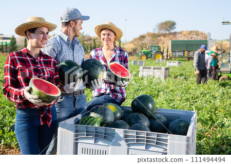 Portrait of farm workers posing at agricultural field with crate full of watermelons Portrait of farm workers posing at agricultural field with crate full of watermelons 111494494