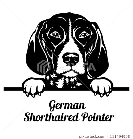 Peeking German Pointer - Dog Breed - Pet Vector Portrait, Dog Silhouette Stencil - Cricut file EPS 111494998
