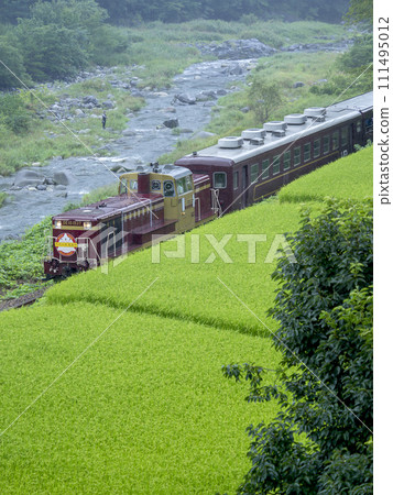 渡良瀨溪穀鐵道在渡良瀨川和稻田之間穿越雨季。 渡良瀨溪穀鐵道在渡良瀨川和稻田之間穿越雨季。 111495012