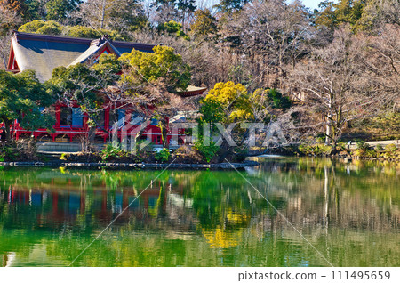 隆冬的井之頭公園 井之頭弁財天的風景 隆冬的井之頭公園 井之頭弁財天的風景 111495659