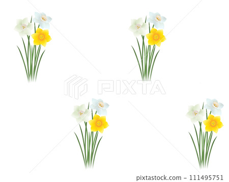 Daffodil seamless pattern (PNG) 111495751