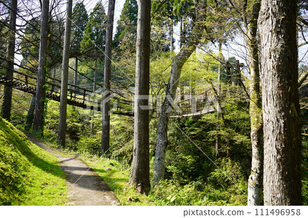 福井的Kazura Bridge 111496958