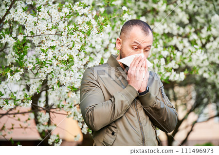 Man allergic suffering from seasonal allergy at spring in blossoming garden at springtime. Man sneezing and blowing nose using nasal handkerchief in front of blooming tree. Spring allergy concept. Man allergic suffering from seasonal allergy at spring in blossoming garden at springtime. Man sneezing and blowing nose using nasal handkerchief in front of blooming tree. Spring allergy concept. 111496973