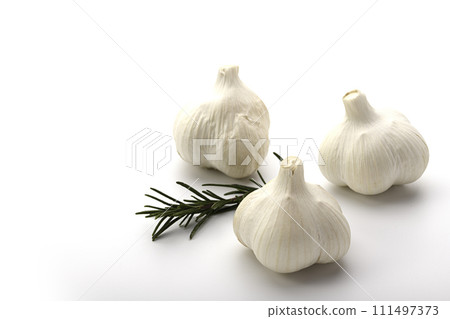 garlic white background 111497373