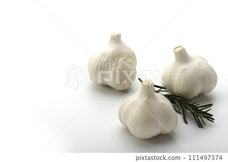 大蒜白色背景 111497374