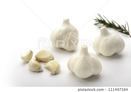 garlic white background garlic white background 111497384