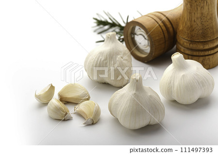 大蒜白色背景 111497393