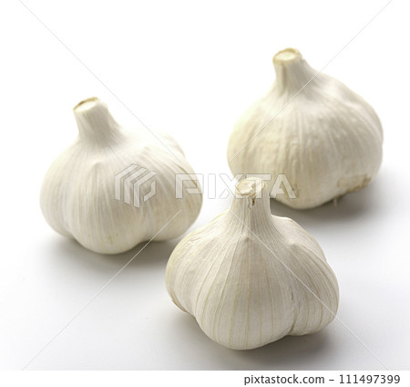 garlic white background 111497399