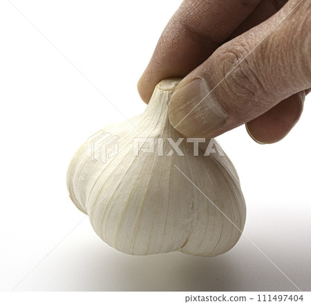 garlic white background garlic white background 111497404