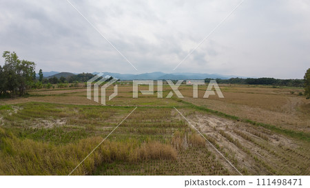 Agricultural Field, Horizon, Farm, Grass, Rural Scene 111498471