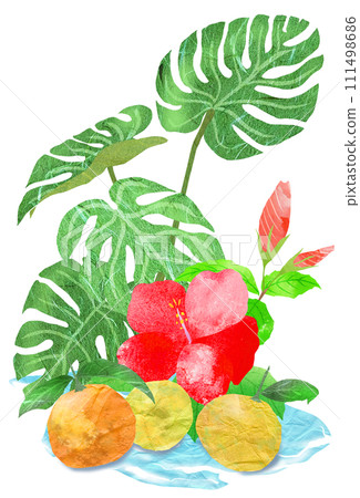Tropical illustration of houseplants and oranges 111498686