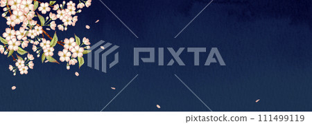 Wild cherry blossoms cherry blossoms at night background frame watercolor illustration Wild cherry blossoms cherry blossoms at night background frame watercolor illustration 111499119