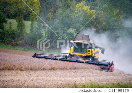 Combine harvester kicks up dust harvesting hillside soy bean crop 111499179