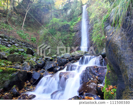 Waterfall with scattered autumn leaves 111500380