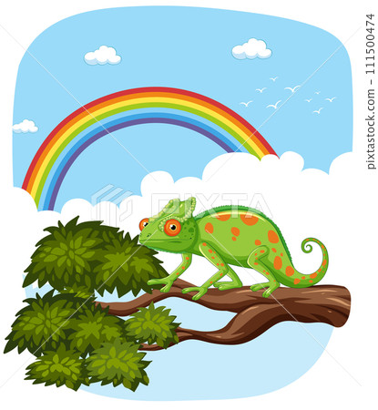 Chameleon on a Branch with Rainbow 111500474