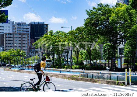 Kyoto Prefecture, Kyoto City, floating island in the water, Kansai, Kinki region, city, summer, tourism, shrines, temples, traditional culture, capital, Kyoto City Hall Station 111500857