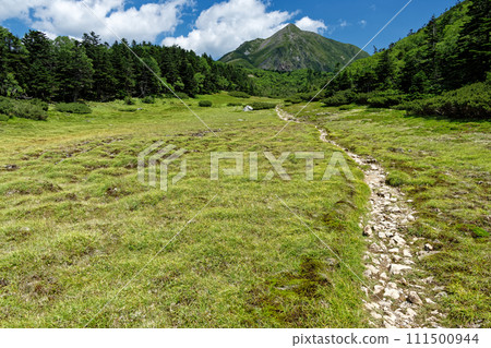 View of the meadows of tortoiseshell soil and Mt. Kamikawachidake in the Southern Alps View of the meadows of tortoiseshell soil and Mt. Kamikawachidake in the Southern Alps 111500944