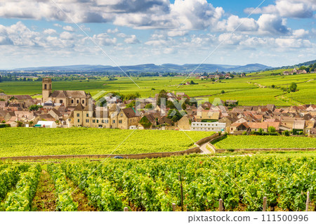 Vineyards and Pommard village, Burgundy in France. Vineyards and Pommard village, Burgundy in France. 111500996