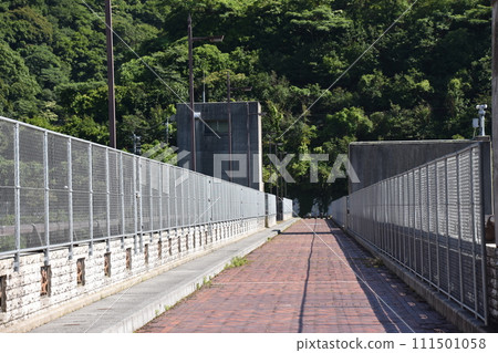 pedestrian bridge surrounded by greenery 111501058