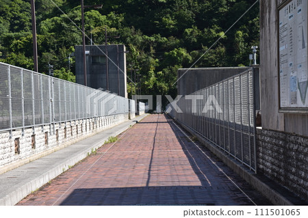 pedestrian bridge surrounded by greenery 111501065